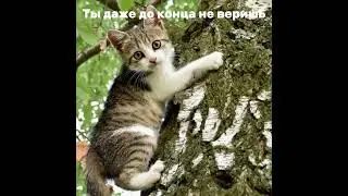 KSB muzic "я вытащу тебя со дна"