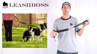 Leashboss Two Dog Coupler with Short Leash - 