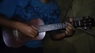 Titanic- my heart will go on fingerstyle (ukulele cover)