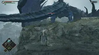 Demon's Souls killing blue dragon