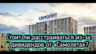 Стоит ли расстраиваться из-за дивидендов от «Самолета»