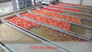 STAS NV Belgium Apple bin filler