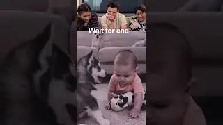 The Husky Barked... Baby Couldn't Believe It! 🤣🐶 