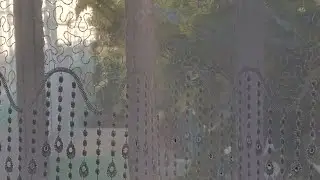 у Нас В Гостях знаменитый блогер
