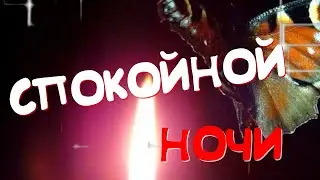 💛💛💛Доброй Ночи! Волшебных Снов ✨ Красивое Пожелание Доброй Ночи!