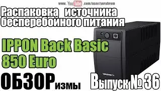 Распаковка ИБП IPPON Back Basic 850 Euro