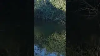 Рибалка