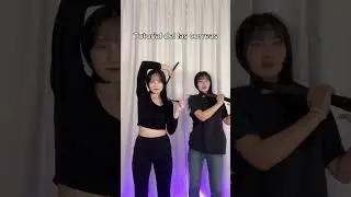 Tutorial del las correas