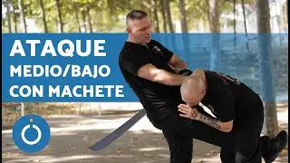 SELF-DEFENSE Against MACHETE ATTACK 🔪 Krav Maga Self-Defense