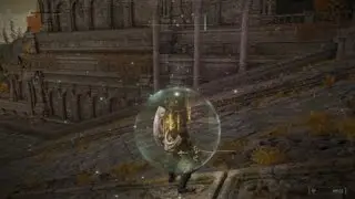 ELDEN RING 2 vs 1 tarnish  Erd Tree Sentinel