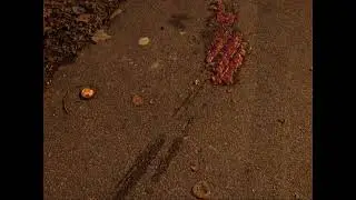 jar of tomato sauce