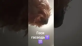 3 мая 2024 г.