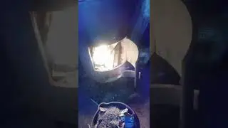 7 февраля 2024 г.