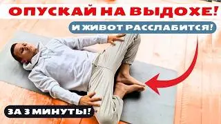 You will be surprised by the changes! Bile outflow, lymph, relaxation.. This exercise will improv...