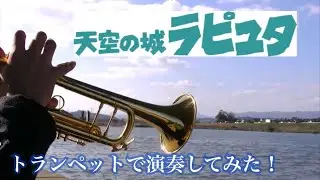 天空の城ラピュタより〜ハトと少年〜【トランペットで演奏してみた】