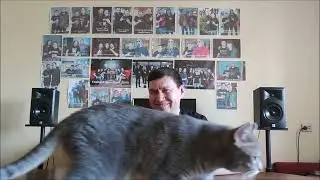 Проблемы оператора часть 3 (Second to Sun и Кошка)