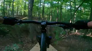 Lucust park Fun