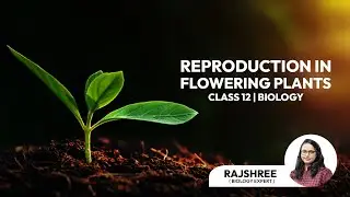 Trailer - Reproduction in Flowering Plants | Full Course on Tutoracacademy.com | #Class12 #NEET