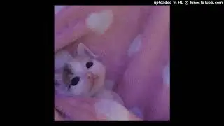 FLESH - Доверься мне ♡ speed up ♡