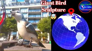 OMG ! Giant Birds Sculpture found on google earth