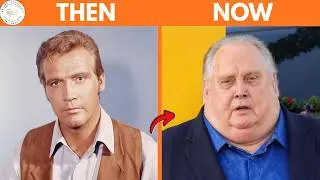 55+ Handsome Hollywood Actors from TV Series of the 70s–90s — Then & Now 2026