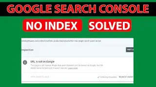 Google Indexing Problem-Google Not Index-Google Search Console Index Problem by FN Quick Tech*