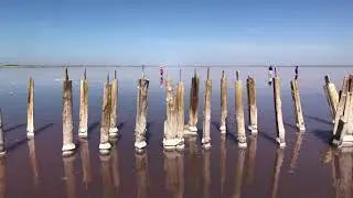 Сасык-Сиваш. Розовое озеро. Евпатория. Западный Крым. Лето.