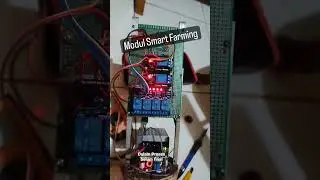 Smart Farming, Hidroponik