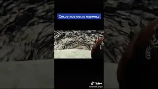 Секретное место Мармока 🤣🤣🤣