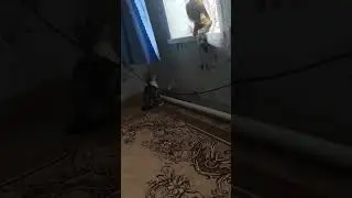 Любитель проводов,можно я стобой😄😁