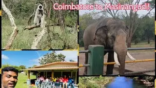 Coimbatore to Masinangudi | Family time | Vacation| Secret Ivory resort| experience and review!