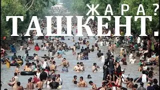 Жара? Ташкент.