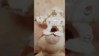 когда прилетела муха на моего друга