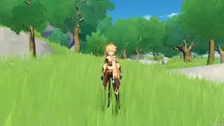 Traveller Idle Animations - Genshin Impact