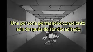 Datos Perturbadores Que Debes Saber #96