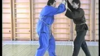 Техника Шоу Дао 15