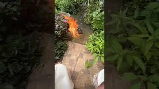 FOGO DE MAÇARICO NA TELA DO CELULAR INDESTRUTÍVEL! #viral #shorts #blackview