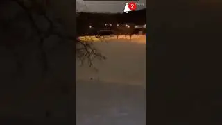 Testing security or security testing? #shortsfeed #viral #shorts