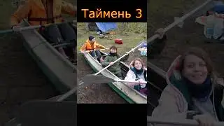 Таймень 3 и смехопанорама