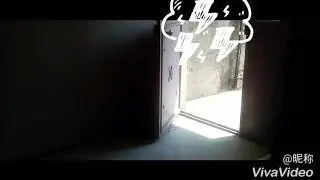 Ayı Adam