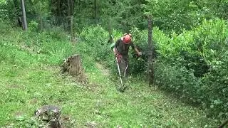 manutenzione zona sud-est, provo il mio nuovo (usato) decespugliatore