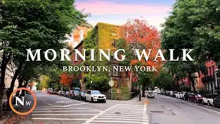 Chill Morning Walk in Brooklyn to Upper Bay | New York | Nature Sounds for Sleep & Study