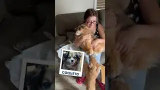 The Best Custom Gift for Pet Lovers | MyPetsies©