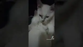 So sweet