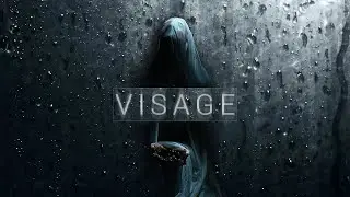 VISAGE Part#2 Harassed By A Man With Crutchs