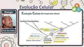 Evolução Celular