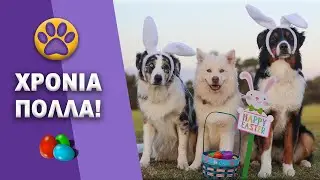 Καλό Πάσχα!