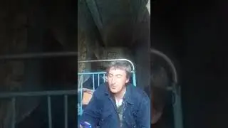 хочу всю жизнь тебя любить.автор неизвестен