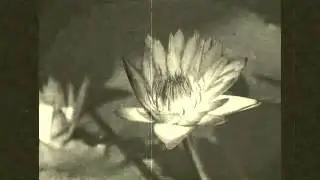 Sam Wooding (1929) - Can´t We Be Friends? (Wollen wir nicht Freunde sein?)