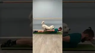 Back Extension FLOW‼️ 